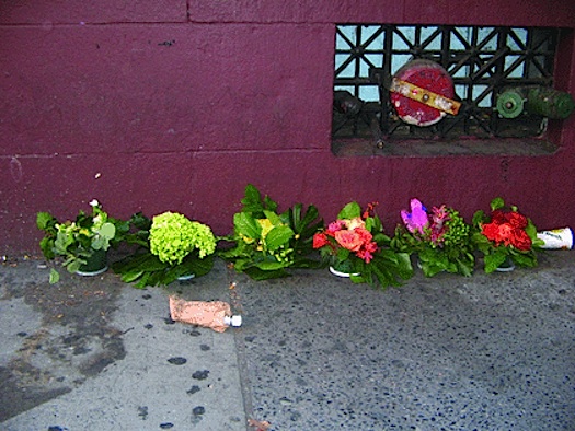 Bella Meyer guerilla florist surprise street arrangements