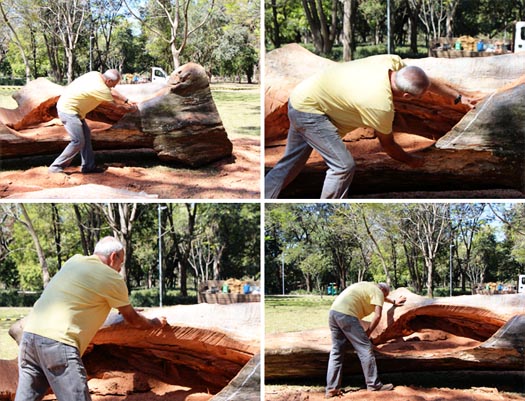 Hugo Franca makes furniture from fallen trees