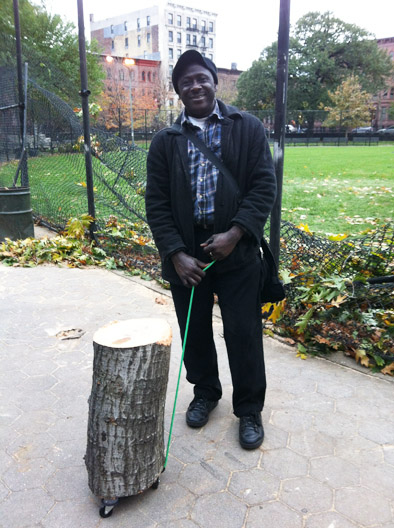 the rig a West African man improvised to help me get a tree stump home