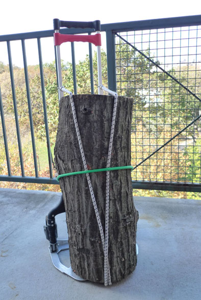 fallen tree stump brought home on a hand truck