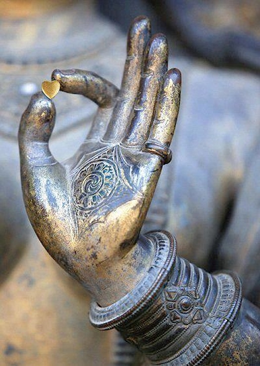 buddha's hand boston