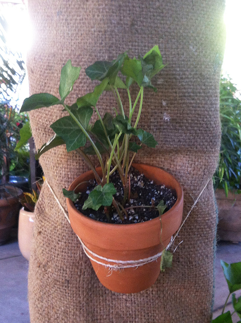 planter hanging flower pot