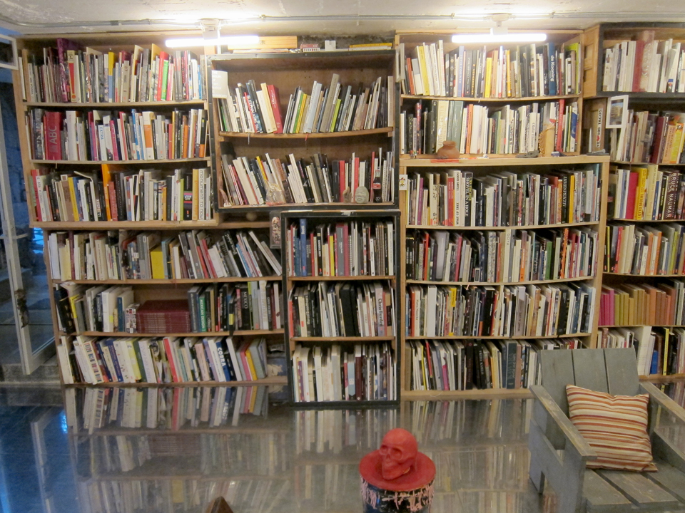 Cesar Cervantes art collectors bookshelves