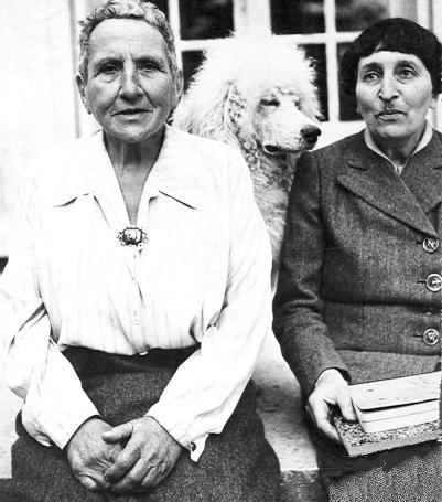 Daily Rituals Gertrude Stein