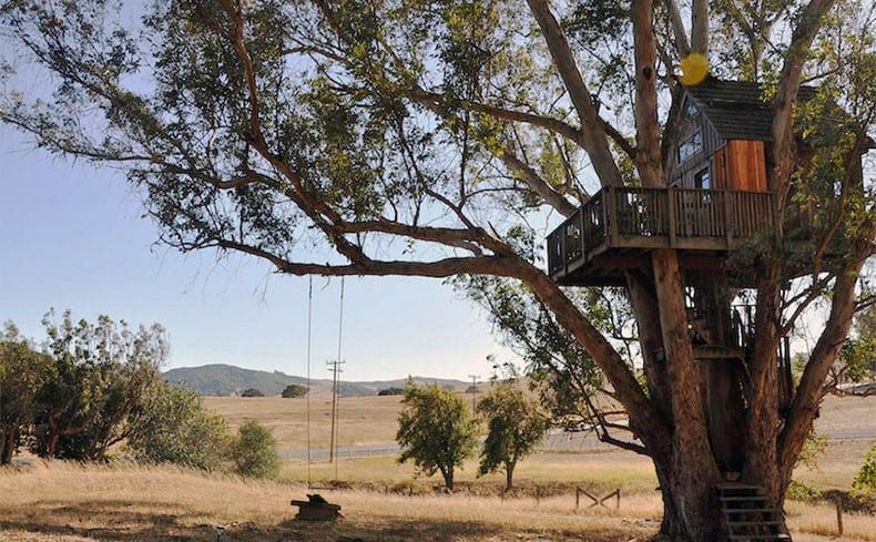 Tree House in Southern California