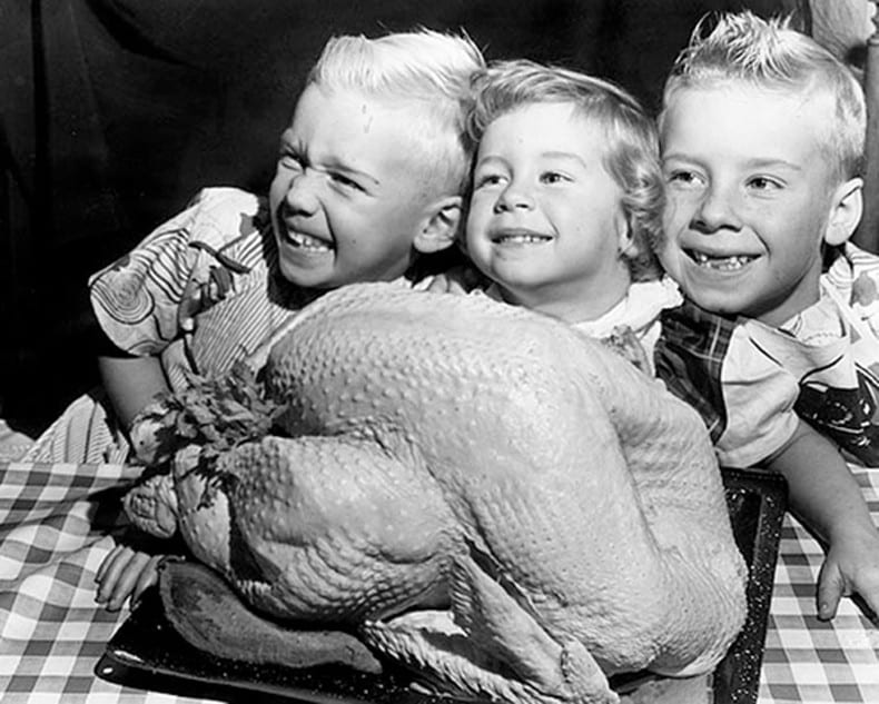 thanksgivingpicnic_rawturkey_triplets