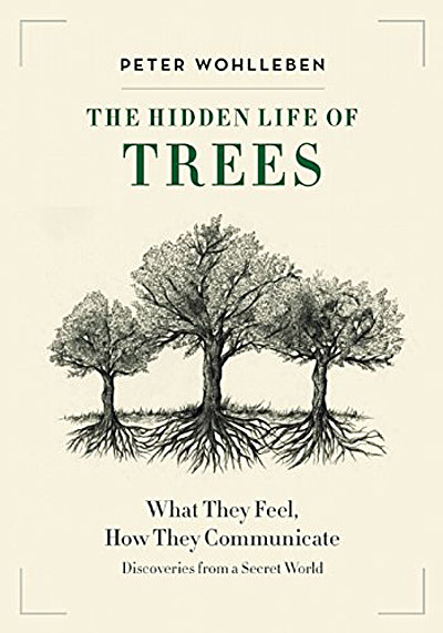 Hidden Life of Trees cover